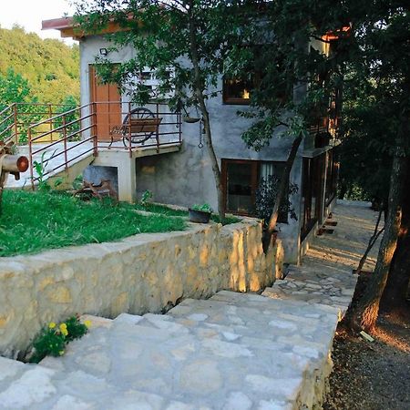 Donkey Farm Martinici - Farma Magaraca Martinici Bed & Breakfast Danilovgrad Bagian luar foto